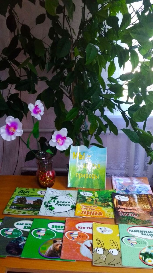 Forest full of wonders2