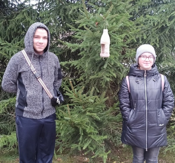 Как помочь птицам зимой1