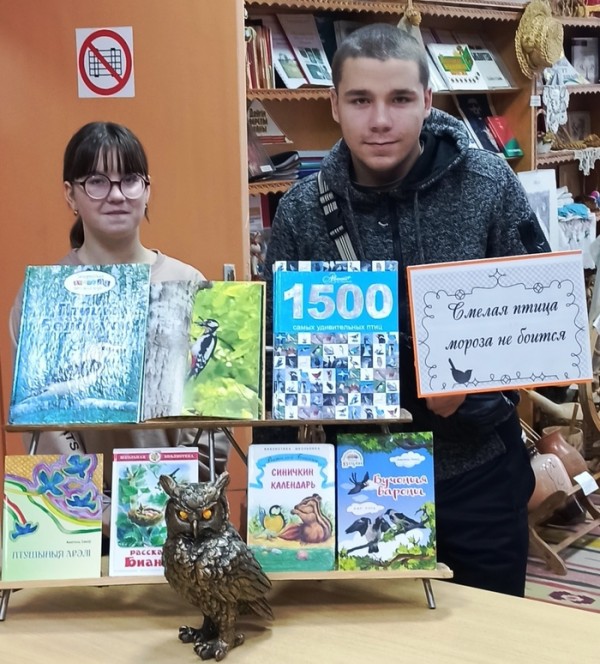 Как помочь птицам зимой2