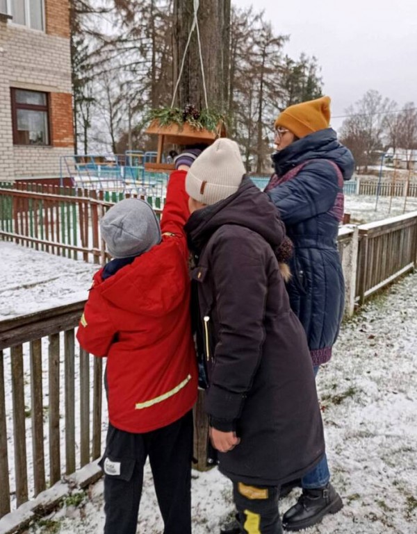 Накормите птиц зимой2