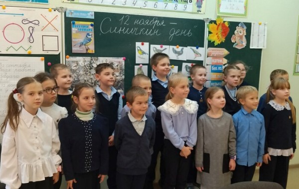 Удивительные птицы синички1