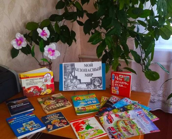 Знатоки безопасного мира2